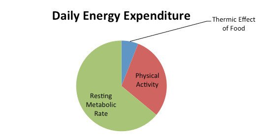 Thermic effect weight loss